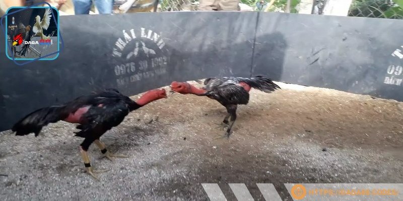 Bet thủ hãy nạp tiền để thoải mái đánh cược