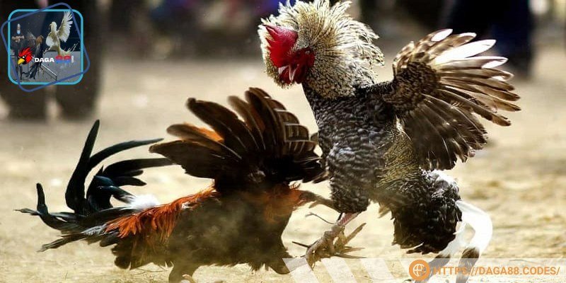 Bạn có thể tham gia giải trí tại nhà dễ dàng trong 1 giây