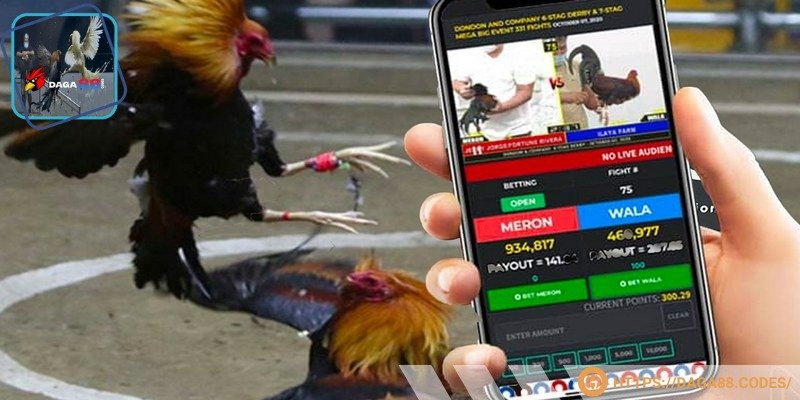 Hạn chế cược hòa