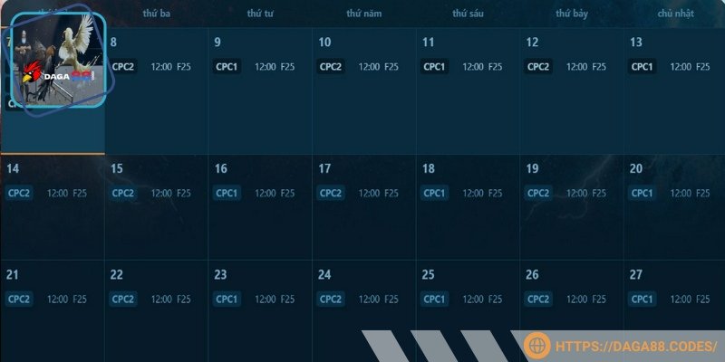 Lịch thi đấu được trang web update liên tục
