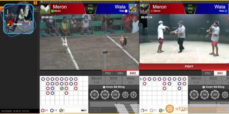 Mỗi trò chơi/trận đấu đưa ra mức cược tối thiểu khác nhau