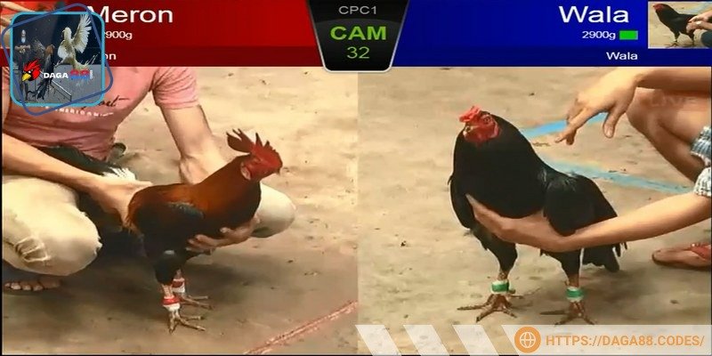 Theo dõi trận đấu qua app DAGA88 luôn sắc nét, mượt mà