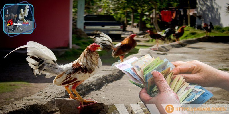 Soi kèo theo gợi ý nhà cái đưa ra dễ kiếm tiền khủng