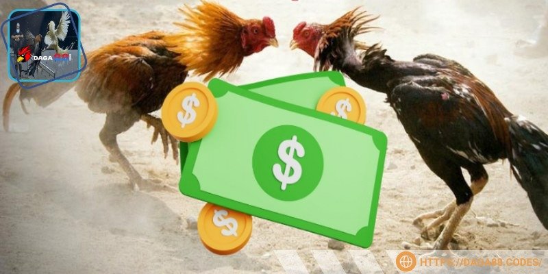 Thưởng khi tích cực tham gia đá gà rất hấp dẫn