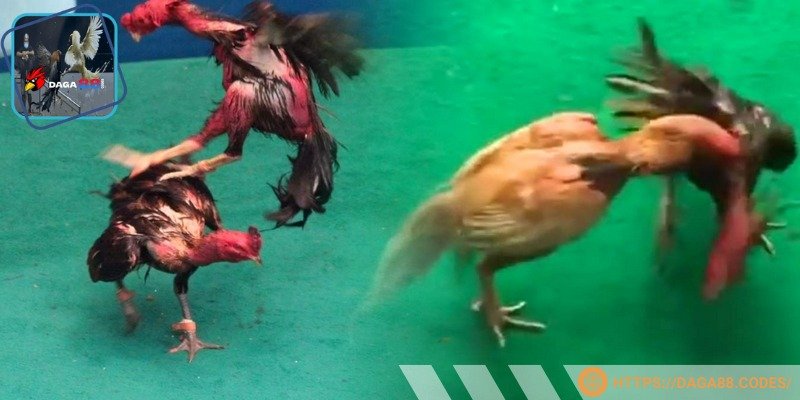 sun88 - Trải nghiệm đỉnh cao cá cược ngay trên điện thoại của bạn